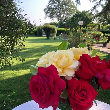 Prestigio 4* Novi Ligure